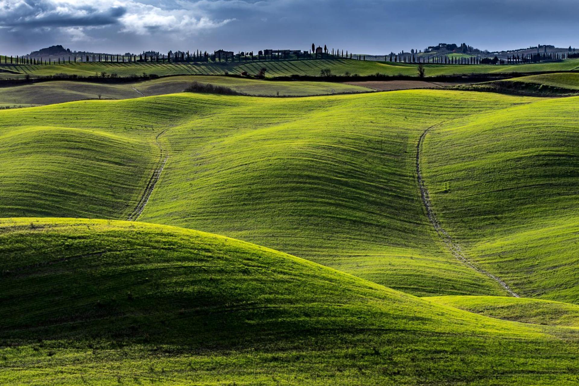 Podere Fossaccio Casa Pino Asciano Exterior foto